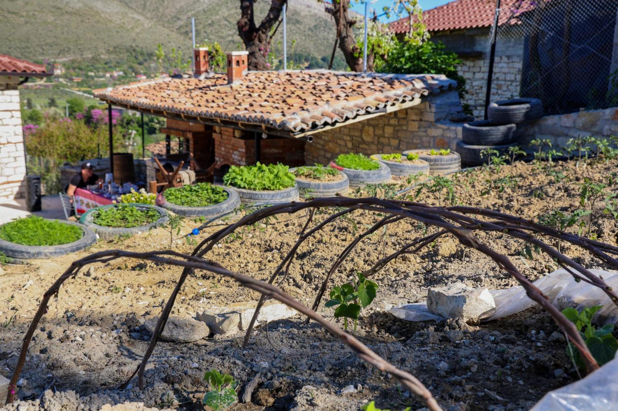Villa Shpiragu Village Experience Berat Extérieur photo
